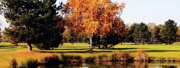 Ligue Auvergne vs Rhône Alpes – Forez/Etangs – 10 & 11 oct. 26